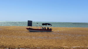 Playa con sargazo